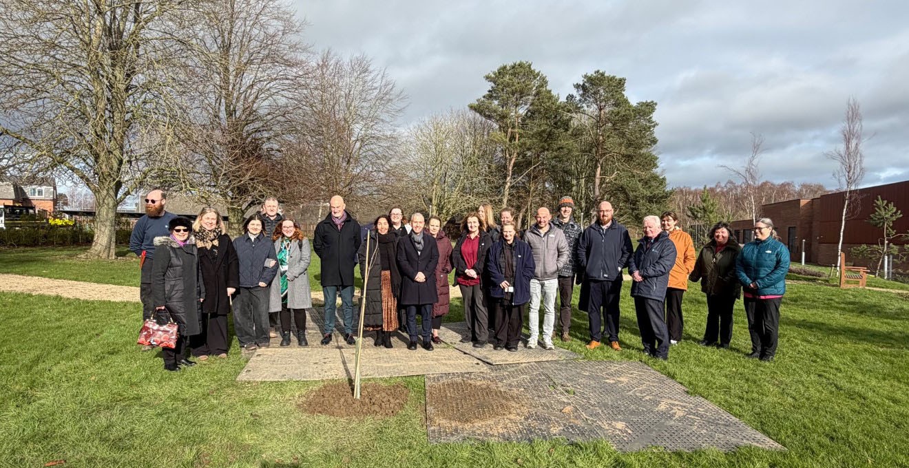 A group of staff planting a new Sycamore tree