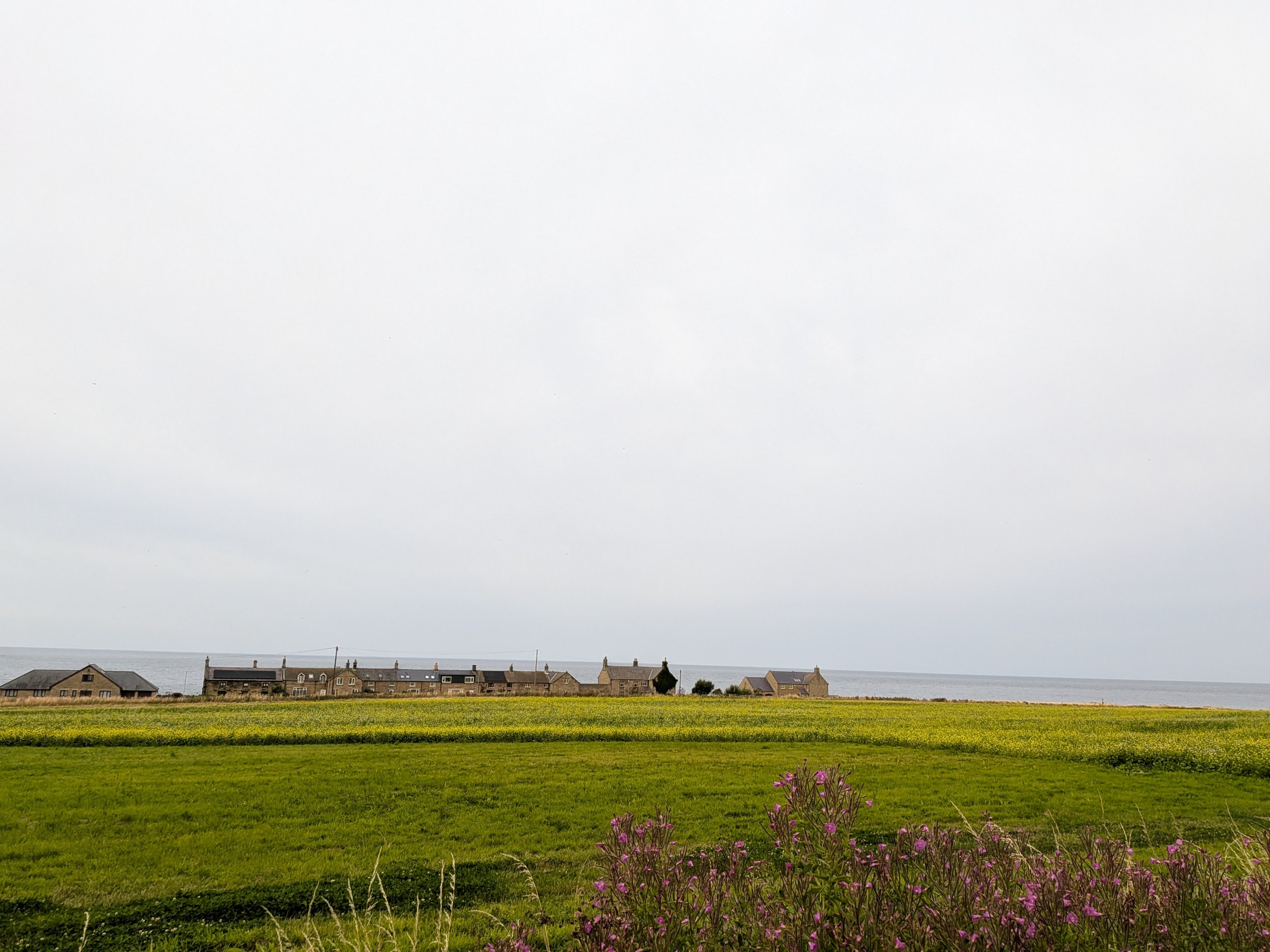 photo of the countryside