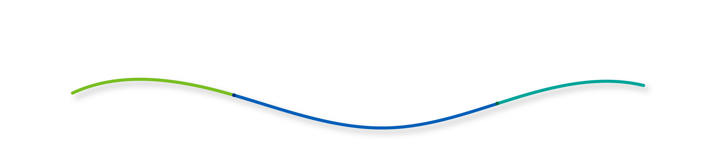 Decorative line to break up the page