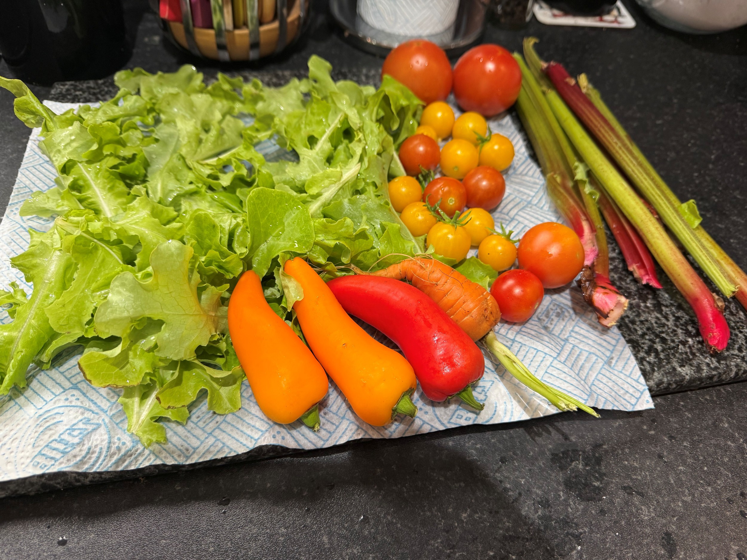 homegrown vegetables on a kitchen bench