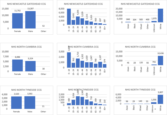graphs showing age, gender and ethnicity of service users by CCG area