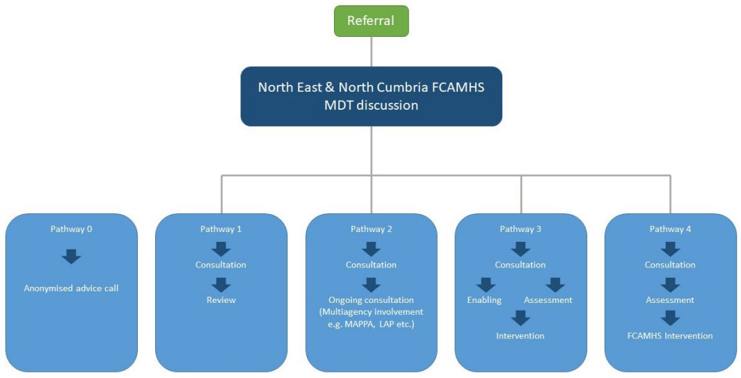 Referral flowchart