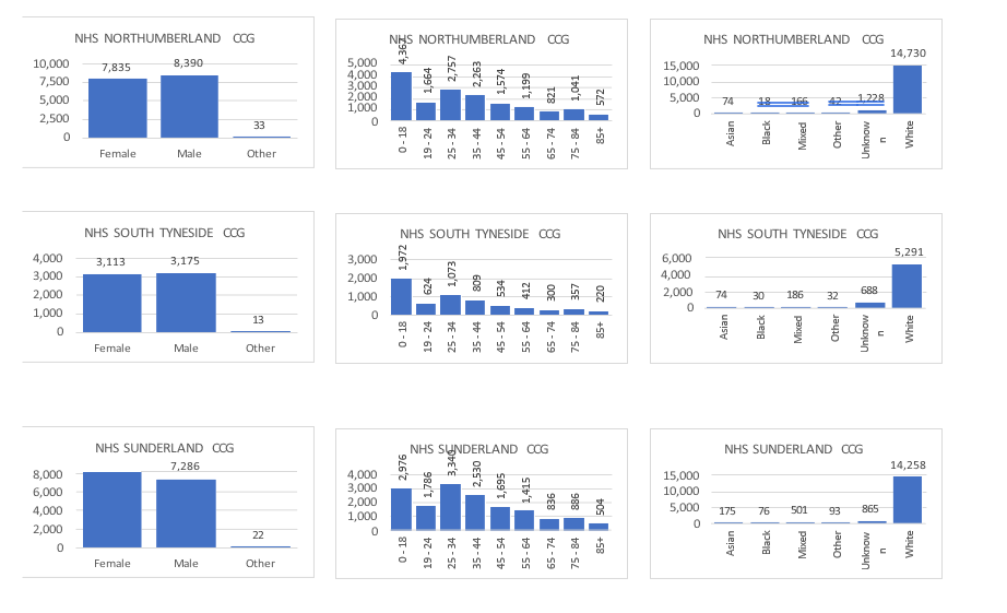 graphs showing age, gender and ethnicity of service users by CCG area