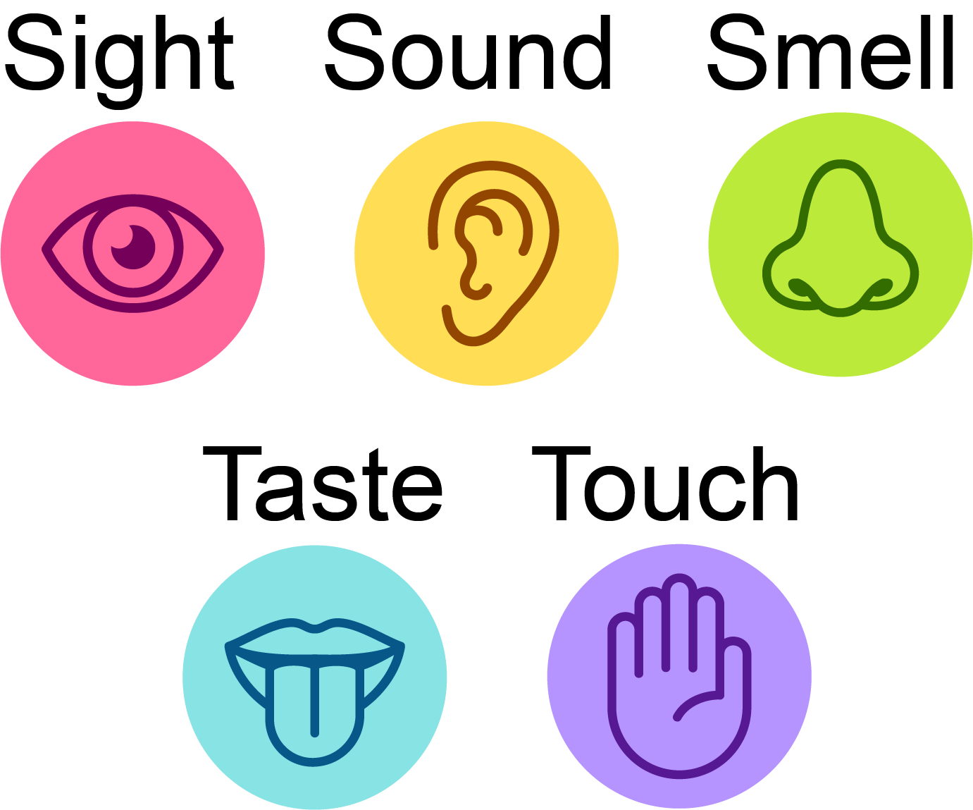 Colourful icons of the five senses. 