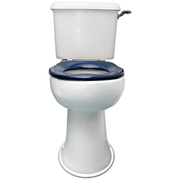 A photo of a toilet