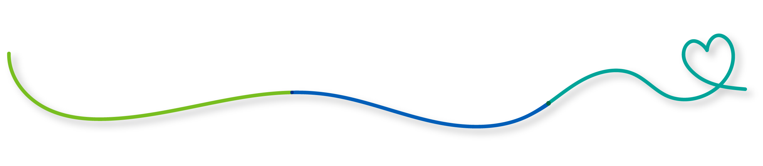 Decorative line icon of a heart