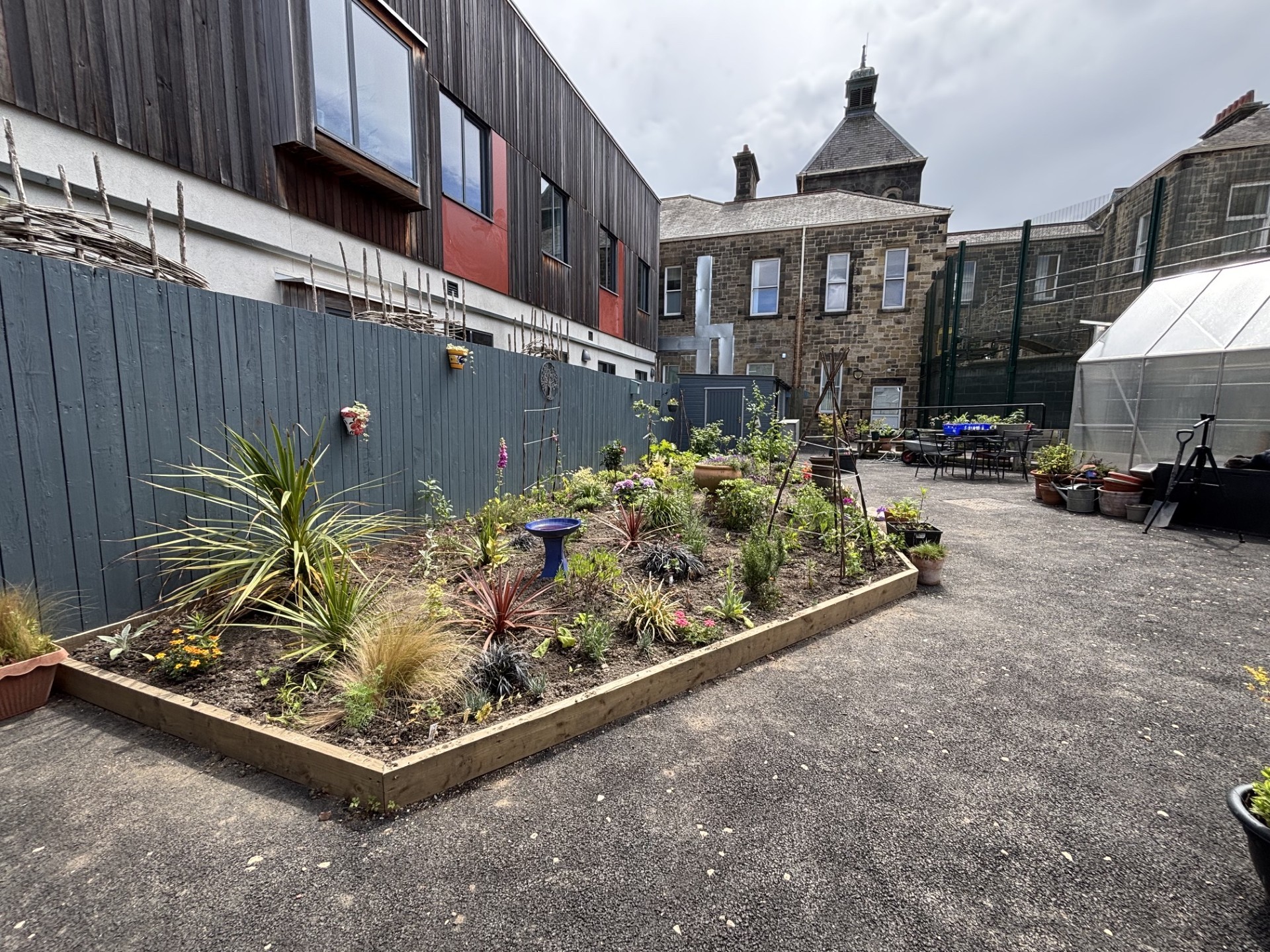 garden area with tarmac and plants