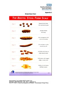 The Bristol Stool Chart Nhs