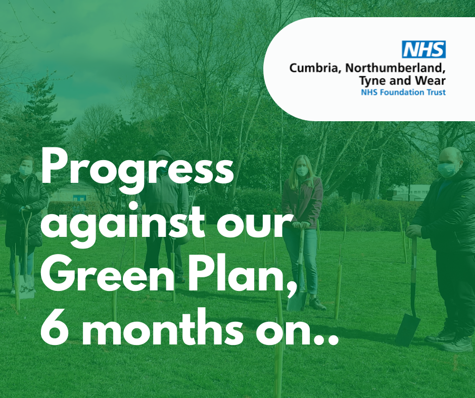 Celebrating progress six months since the launch of our Green Plan