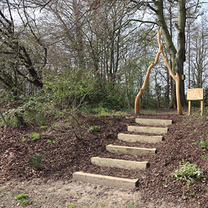 Hospital’s new landscaped woods dedicated to long-serving volunteer