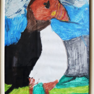 Puffin oil pastel, wooden frame 18 x 25 inches Price £25