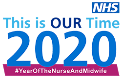 Year of the nurse and midwife logo