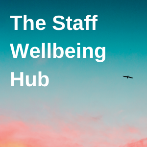 Wellbeing support for health and care staff in the North East and North Cumbria