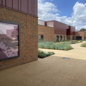 A view down an outside courtyard, with grasses and plants in the middle of paved walkways.