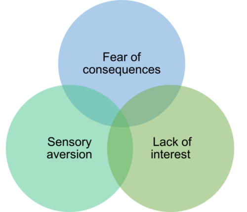 Three overlapping circles containing the words Fear of consequences, Sensory aversion and Lack of interest. It illustrates that there is often more than one reason behind food avoidance and restriction.