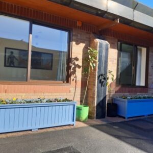 Bright blue wooden planters outside in a courtyard