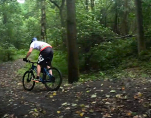 Man cycling through woodland